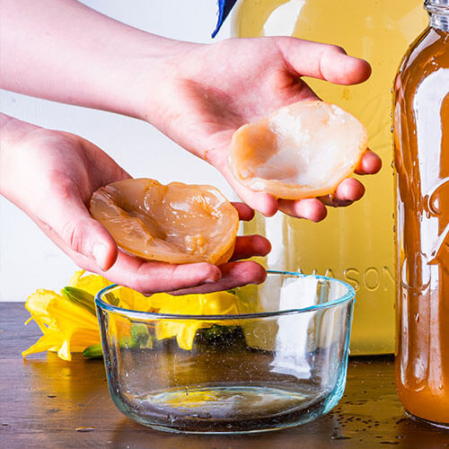 divide scoby right