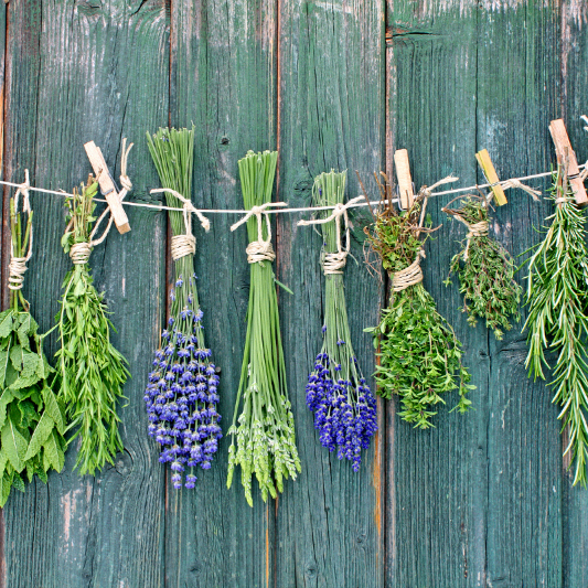 Where To Buy Herbs (+ tips to grow your own!) 4 buy herbs tips