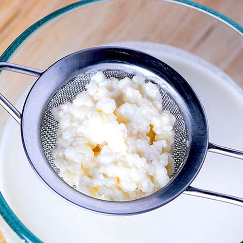 The ULTIMATE Milk Kefir Guide (how to make it, troubleshooting tips & MORE!) 9 ultimate milk kefir