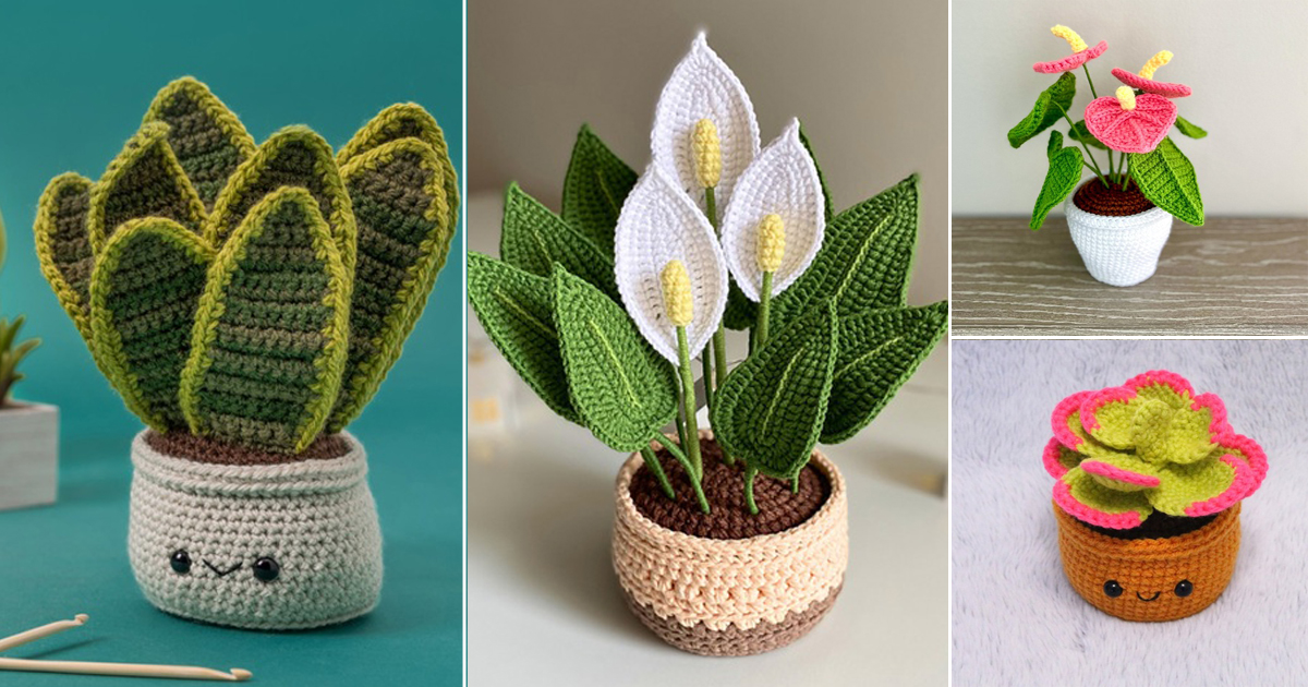 17 Most Popular Crochet Houseplants You Can Make 6 most popular crochet