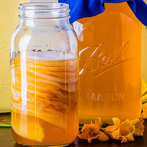 SCOBY Hotel Guide (Everything You Need To Know) 6 scoby hotel guide