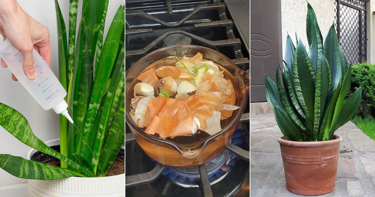 use onion peel