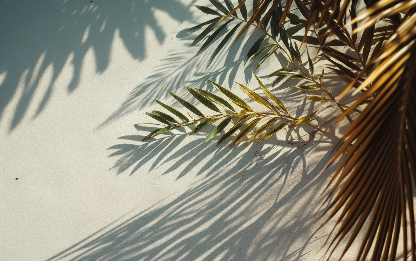 30 Aesthetic Beach Photography Ideas with Coastal Vibe 1 aesthetic beach photography
