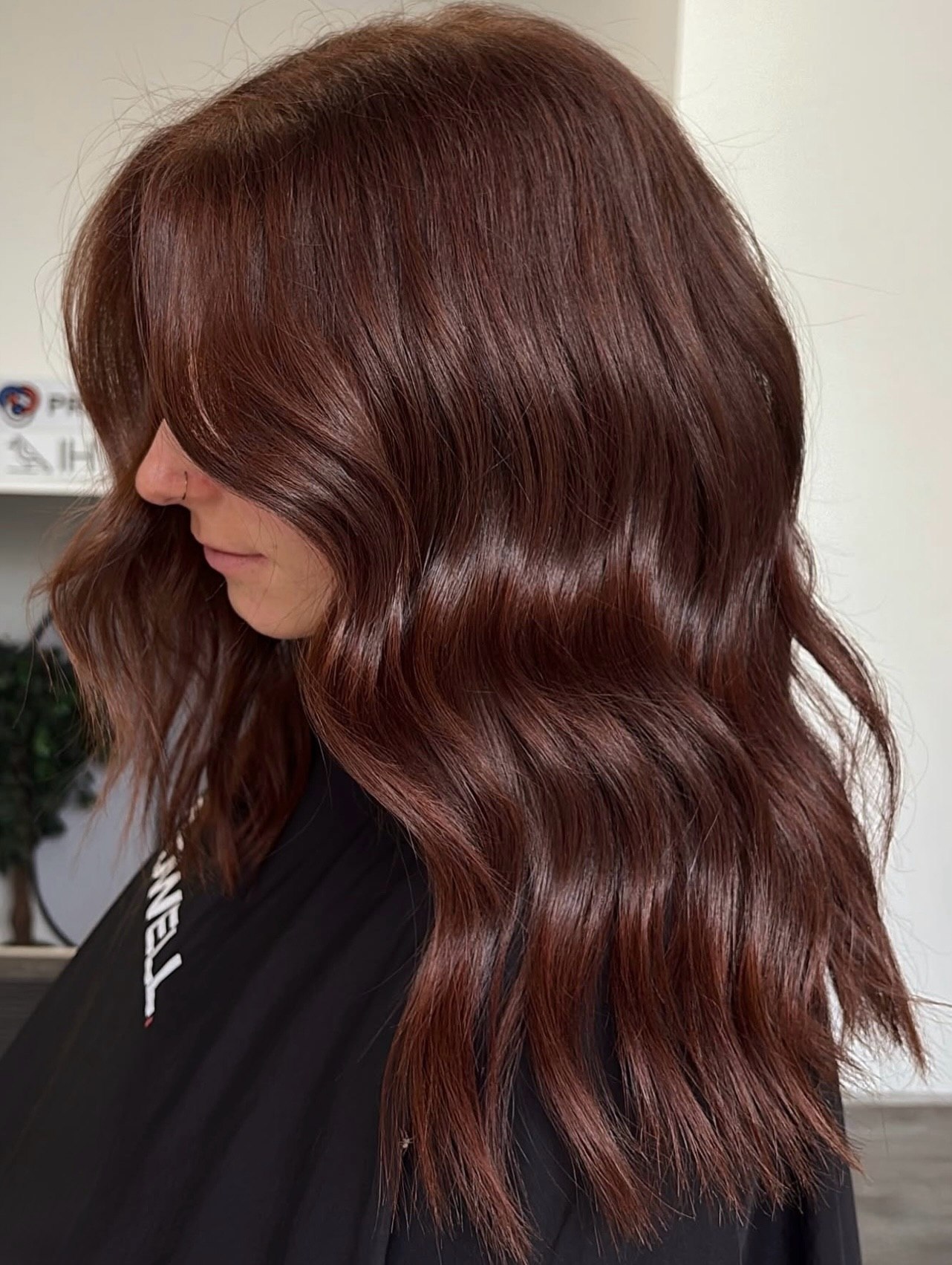 stunning brown cinnamon