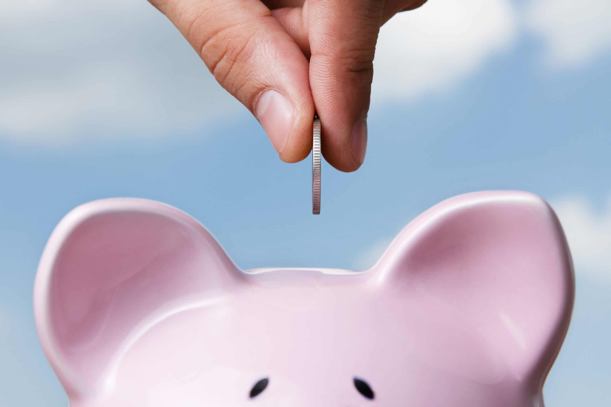 essential budget categories