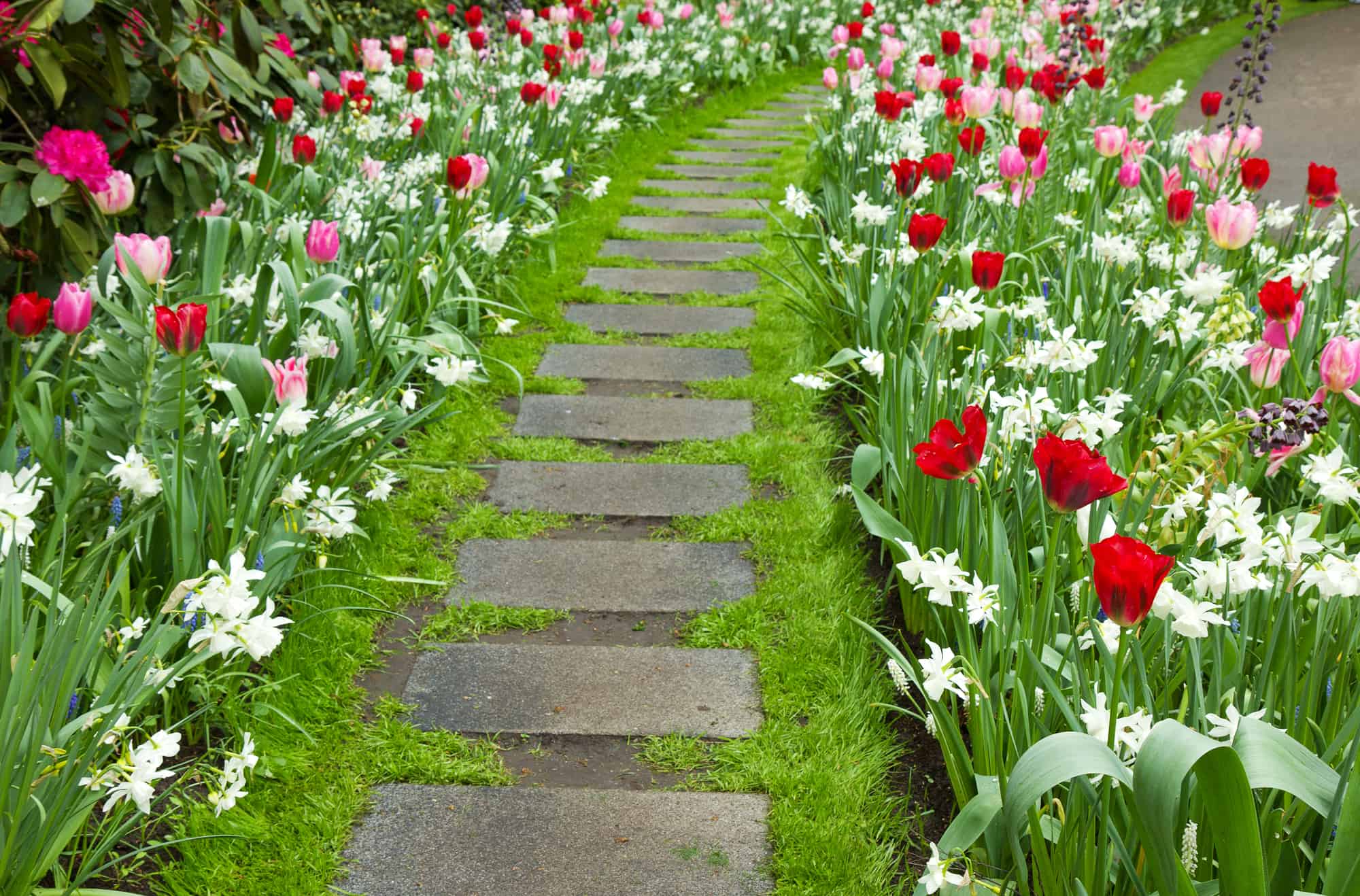 walkway ideas budget