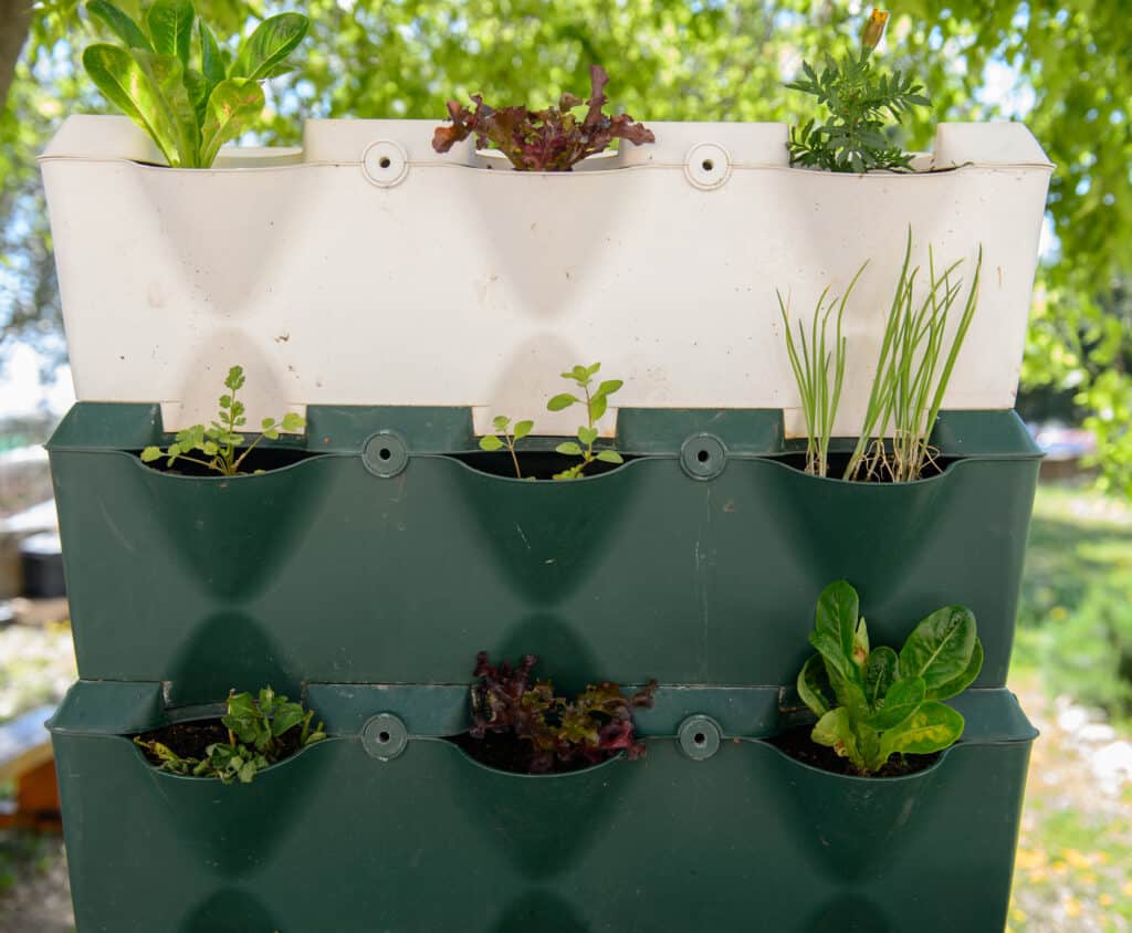 vertical garden 1024x844.jpeg