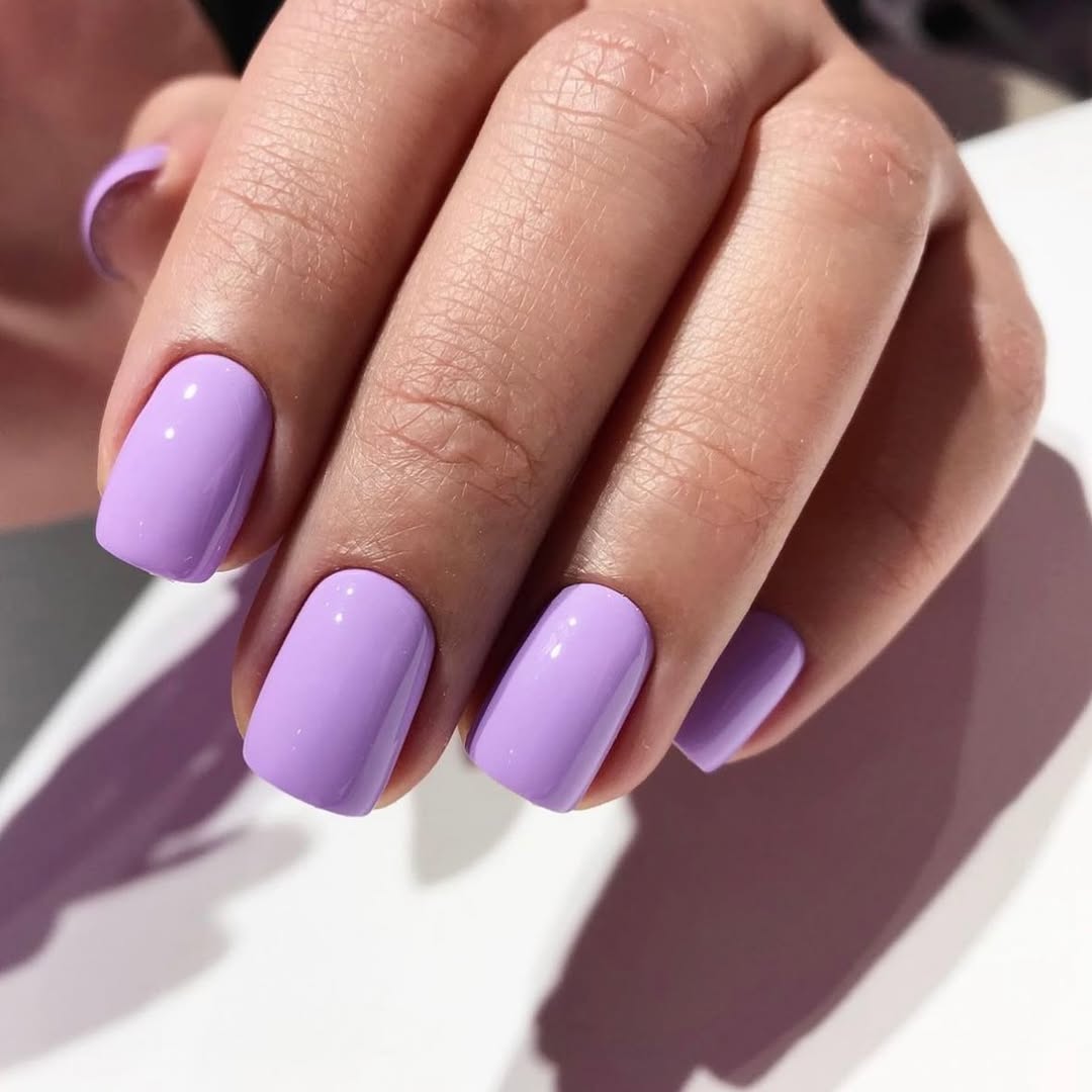 stunning purple summer