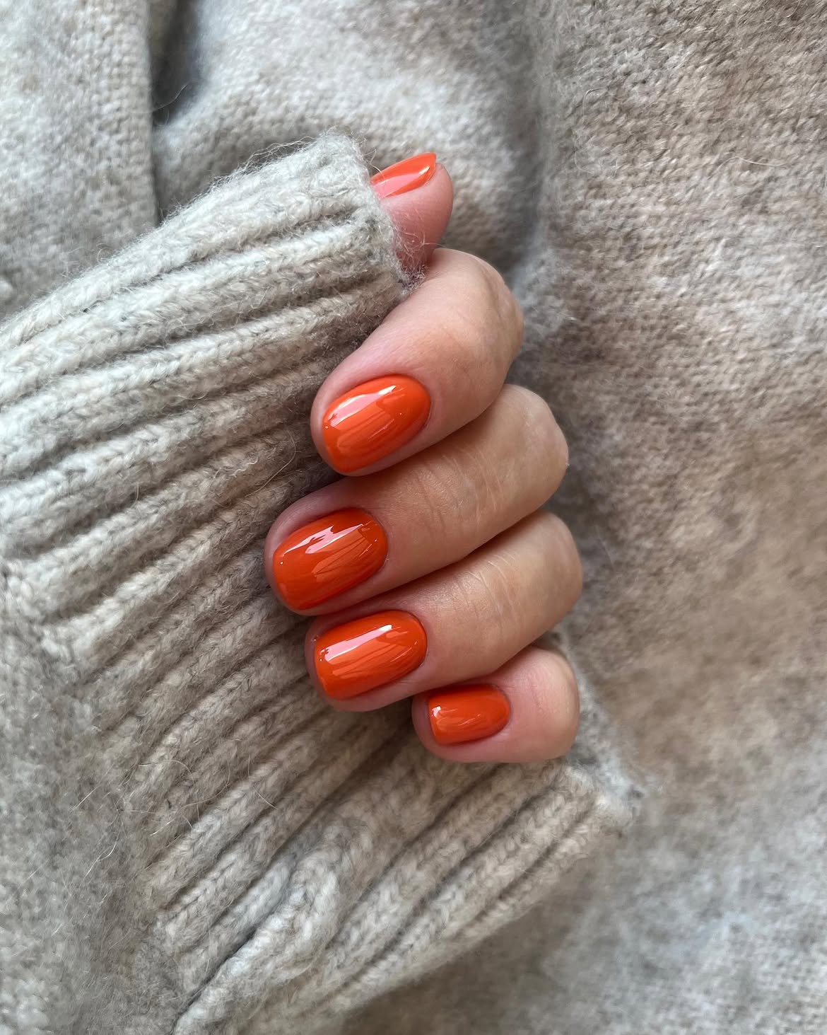 stunning orange fall