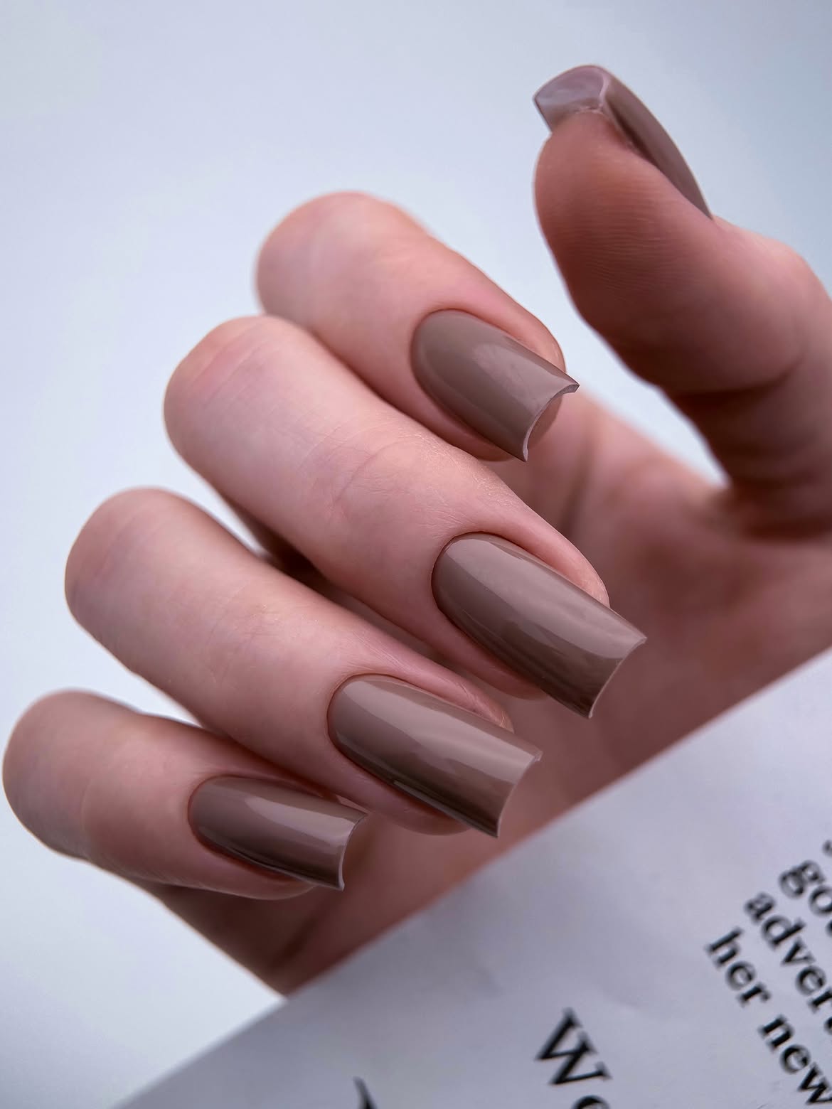 chic neutral fall