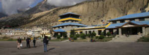 Niraj303